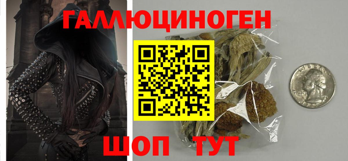 Галлюциногенные грибы Psilocybine cubensis Ахтубинск