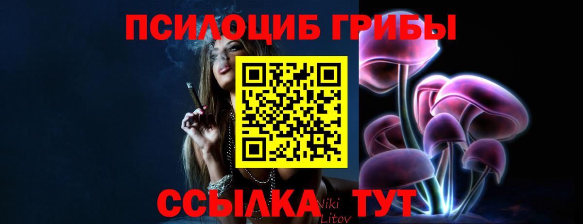 Галлюциногенные грибы мицелий  Галлюциногенные грибы Psilocybine cubensis  Вход с VPN  Ахтубинск 